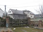 Třibřichy